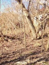 Продається ділянка Вінницька, Вінниця, Передмістя, Коцюбинського фото 2 Продається ділянка Вінницька, Вінниця, Передмістя, Коцюбинського фото 2