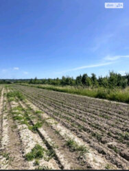 ��������� ������ ³�������, ³�����, ���������, ����-�����������, ������������� ���� 5