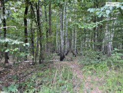 ��������� ������ ³�������, ³�����, ���������, ��������� ���� 5