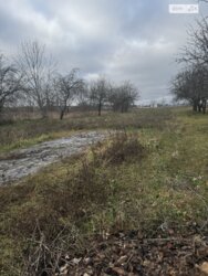 ��������� ������ ³�������, ³�����, ���������, ����-�����������, �����. ��� ������� ���� 1