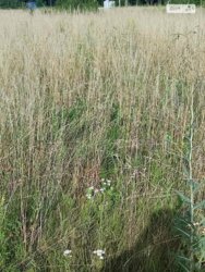   ³, ³, ,  , 쳿   5