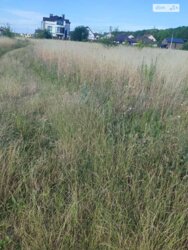   ³, ³, ,  , 쳿   2