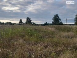 ��������� ������ ³�������, ³�����, ��������� ���� 5