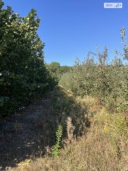 ��������� ������ ³�������, ³�����, ���������, ��������� ���� 2