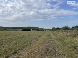 ��������� ������ ³�������, ³�����, �������������, ³�����-�������� ���� 3