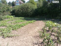 ��������� ������ ³�������, ³�����, ���������, ���������� ���� 3