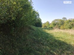 ��������� ������ ³�������, ³�����, ���������, �������� ���� 4