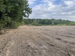 ��������� ������ ³�������, ³����� ���� 1