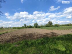 ��������� ������ ³�������, ³�����, ��������� ���� 2