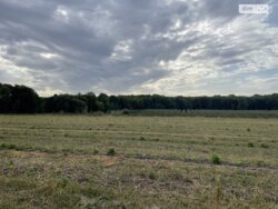 ��������� ������ ³�������, ³�����, �������������, ³�����-�������� ���� 3