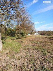 ��������� ������ ³�������, ³�����, ��������� ���� 4