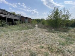 ��������� ������ ³�������, ³�����, ��������� ���� 1