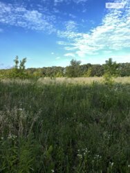 ��������� ������ ³�������, ³�����, �������������, ³�����-�������� ���� 1