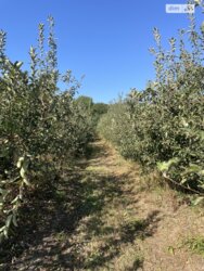 ��������� ������ ³�������, ³�����, ���������, ��������� ���� 3