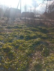 ��������� ������ ³�������, ³�����, ���������, ٳ���, ���. ����������� ���� 4