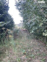 ��������� ������ ³�������, ³�����, ���������, ��������� ���� 4