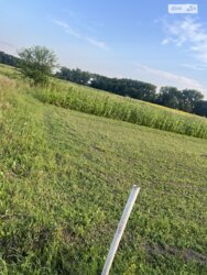 ��������� ������ ³�������, ³�����, ���������, �������� ���� 1