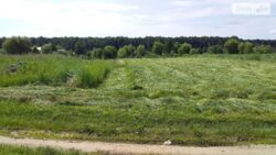 ��������� ������ ³�������, ³�����, ��������� ���� 2