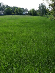 ��������� ������ ³�������, ³�����, ��������� ���� 2