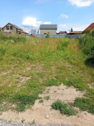 ��������� ������ ³�������, ³�����, ���������, ����������, ������� �������� ���� 5