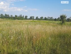 ��������� ������ ³�������, ³�����, ��������� ���� 3