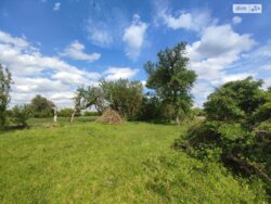 ��������� ������ ³�������, ³�����, ��������� ���� 4