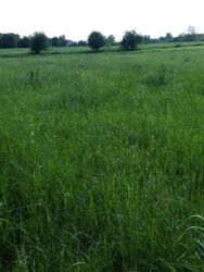 ��������� ������ ³�������, ³�����, ��������� ���� 4