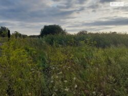 ��������� ������ ³�������, ³�����, ��������� ���� 4