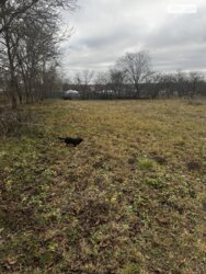 ��������� ������ ³�������, ³�����, ���������, ����-�����������, �����. ��� ������� ���� 3