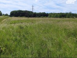 ��������� ������ ³�������, ³�����, �����������, ����� ���� ���� 5