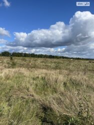 ��������� ������ ³�������, ³�����, ���������, �������� ���� 5