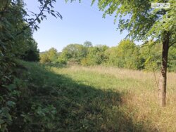 ��������� ������ ³�������, ³�����, ���������, �������� ���� 5