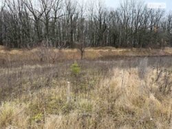 ��������� ������ ³�������, ³�����, �����������, ����� ����, ��������� ������ ���� 3