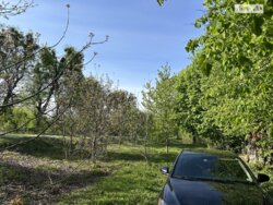 ��������� ������ ³�������, ³�����, ��������� ���� 5