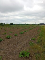 ��������� ������ ³�������, ³�����, ��������� ���� 4