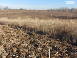 ��������� ������ ³�������, ³�����, ���������, �������� ���� 5