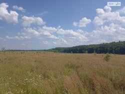 �������� ���� 1