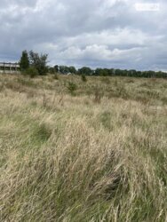 ��������� ������ ³�������, ³�����, ���������, �������� ���� 3