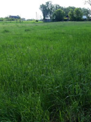 ��������� ������ ³�������, ³�����, ��������� ���� 3