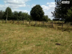 ��������� ������ ³�������, ³�����, ��������� ���� 1