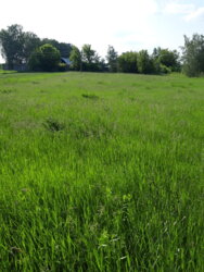 ��������� ������ ³�������, ³�����, ��������� ���� 5