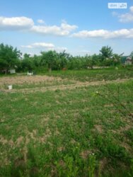 ��������� ������ ³�������, ³�����, ���������, �������� ���� 5