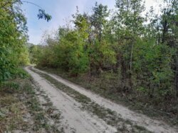 ��������� ������ ³�������, ³�����, ���������, ����-����������� ���� 1