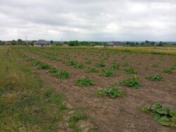 ��������� ������ ³�������, ³�����, ��������� ���� 2