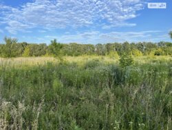 ��������� ������ ³�������, ³�����, �������������, ³�����-�������� ���� 2