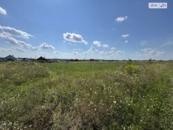 ��������� ������ ³�������, ³�����, ��������� ���� 5