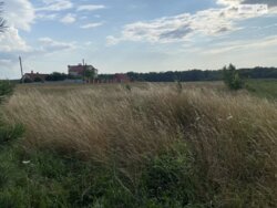 ��������� ������ ³�������, ³�����, ��������� ���� 4