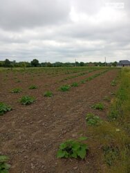 ��������� ������ ³�������, ³�����, ��������� ���� 3