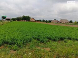 ��������� ������ ³�������, ³�����, ��������� ���� 2