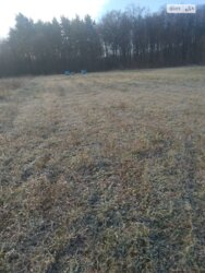 ��������� ������ ³�������, ³�����, ���������, ��������� ���� 4